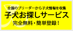 ペットノート（東京店）ブリーダー直販の子犬販売専門ペットショップ　子犬お探しサービス