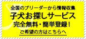 子犬お探しサービス