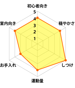 プードル グラフ