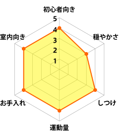 柴犬 グラフ