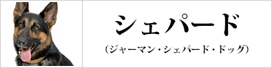 ジャーマン・シェパード・ドッグ